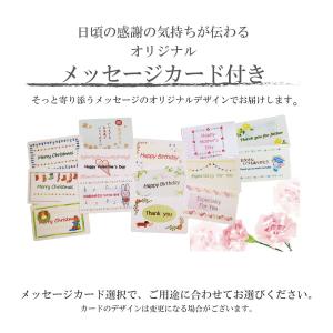 33円ラッピング・ 包装 《 紙袋 ・ ビニー...の詳細画像4