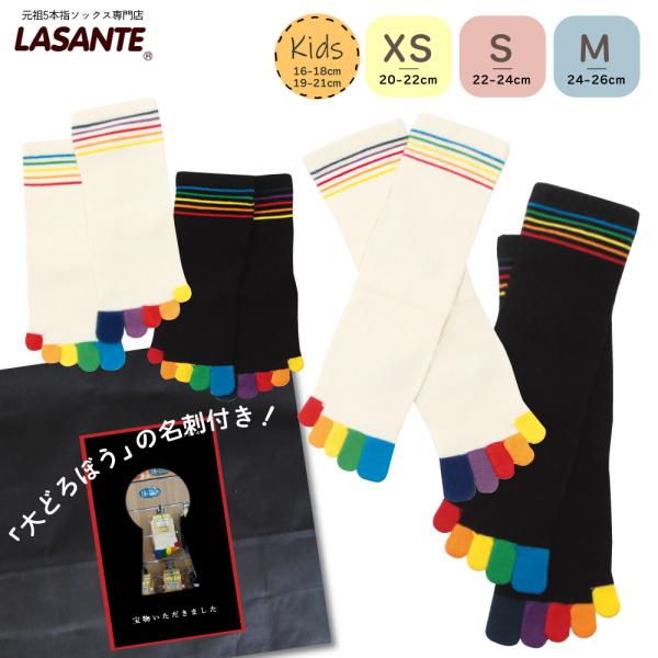 数量限定 大どろぼうに盗まれた虹5本指ソックス 3足セット 送料無料【 日本製 5本指靴下 レディー...