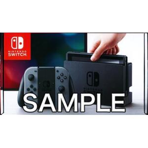 Nintendo Switch Joy-Con (L)/(R) グレー (2017年3月発売)｜lashinbangtsuuhan