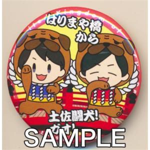 DGS 神谷浩史 小野大輔 缶バッジ 神谷浩史・小野大輔のDear Girl～Stories～「DGS博覧会Re-Duct！」DGS