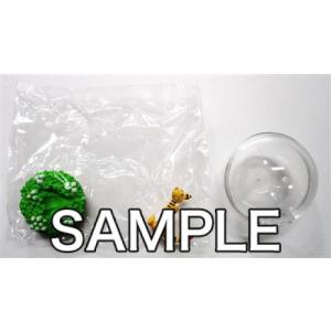 リーメント ポケモン テラリウムコレクション5 全6種 １bｏｘでダブらず揃います Goldendrop 通販 Yahoo ショッピング