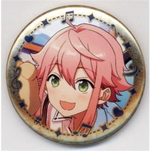 あんさんぶるスターズ 中国限定 星の向こう 缶バッジ B 瀬名泉 あん