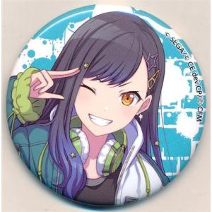 ねんどろいどぷらす プロジェクトセカイ カラフルステージ アクリル