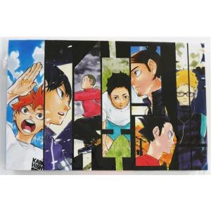 ティセット 【17個セット】【セット】【セット商品】【忍たま乱太郎