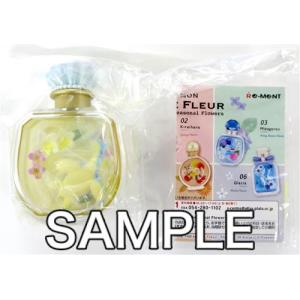 憧れの ポケットモンスター Petite Fleur Seasonal Flowers Box商品 ビンテージおもちゃ Cienciadigitaleditorial Com
