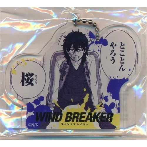 WIND BREAKER アクリルダイカットキーホルダー 十亀条