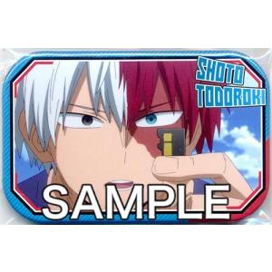 あんさんぶるスターズ テーマスカウト缶バッジ 2020 AUTUMN -Idol Side