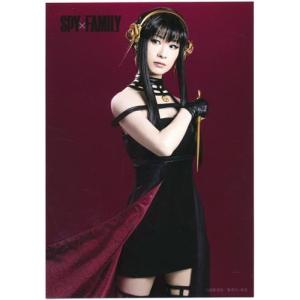 SPY×FAMILY A5キャラファイングラフ Amazon.co.jp BD/DVD全巻購入特典