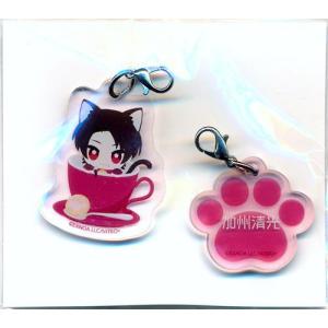 あんさんぶるスターズ 中国限定 流砂コロッタ vol.2 B 氷鷹北斗 あん