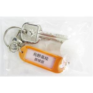 ハイキュー トレーディング高校名付き鍵チャームキーホルダー 烏野高校