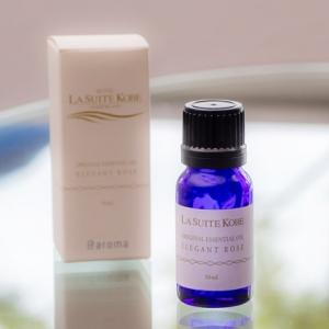 エアアロマ the vert oriental (テヴェールオリエンタル) 250ml [並行