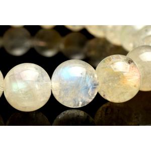 Castro Smith / カストロ スミス ： Carousel (medium) carousel-m