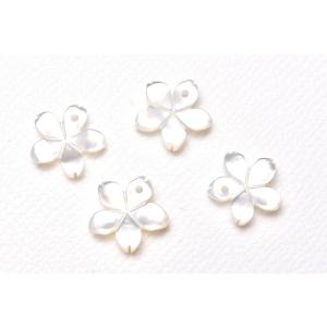 ホワイトシェル　桜　11x11x2mm　粒売り バラ売り_T437