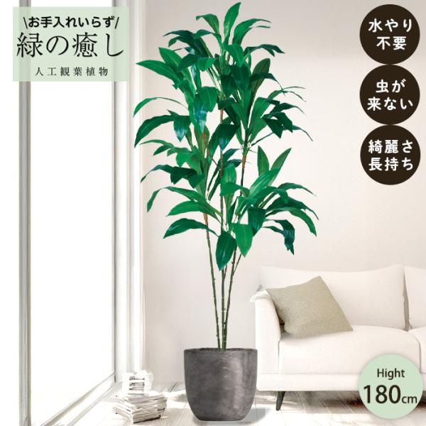 【メーカー直送】 フェイクグリーン ドラセナ ポット付き 180cm 大型 高級 室内 人工観葉植物...