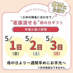 ◆早割◆【GWにお届け!早着】【直接渡せる】母...の詳細画像2