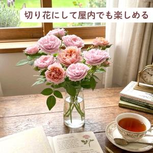 ◆早割◆【GWにお届け!早着】【直接渡せる】母...の詳細画像5