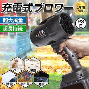 ブロワー 洗車 充電式ブロワー 250000r...の詳細画像1
