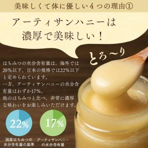 【送料無料】アーティサンハニー はちみつ 43...の詳細画像2