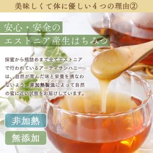 【送料無料】アーティサンハニー はちみつ 43...の詳細画像3