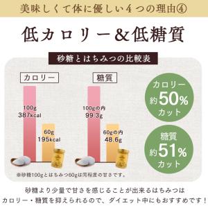 【送料無料】アーティサンハニー はちみつ 43...の詳細画像5