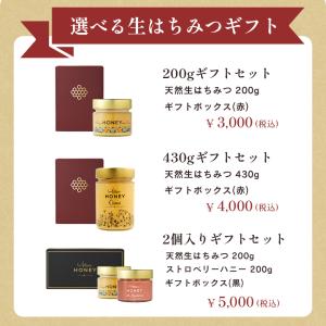 はちみつ 蜂蜜 生はちみつ 生蜂蜜 非加熱はち...の詳細画像1