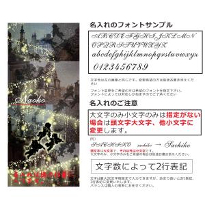 BASIO Active2 SHG12 ベイシ...の詳細画像4
