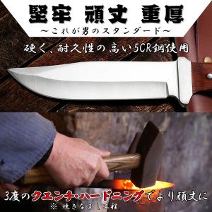 アウトドア キャンプ ナイフ 釣り 魚釣り 登...の詳細画像1