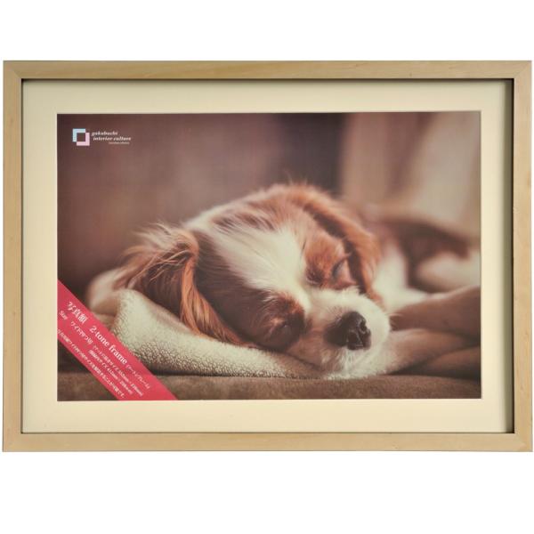 YASUI/ヤスイ　2-tone Frame（ツートンフレーム）