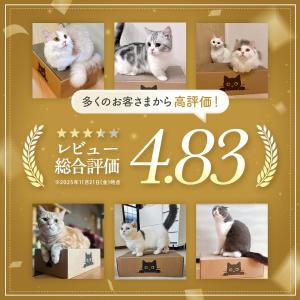 猫 爪とぎ ダンボール ベッド ダンボール ハ...の詳細画像1