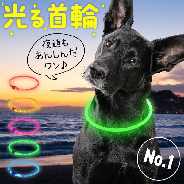 光る首輪 犬用 レインボー 充電 小型犬 ひかる首輪 led 猫 大型犬 柴犬 おすすめ　