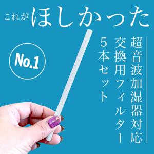 加湿器 交換用フィルター 替え芯 超音波式 卓上加湿器 加湿器フィルター 給水フィルター 5本セット｜Laundly 生活雑化専門店