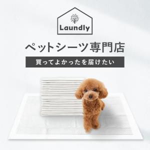 ペットシーツ ワイド レギュラー800枚 ペッ...の詳細画像1