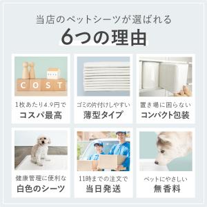 ペットシーツ ワイド レギュラー800枚 ペッ...の詳細画像3