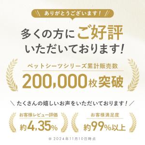 ペットシーツ ワイド レギュラー800枚 ペッ...の詳細画像4