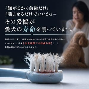 犬 歯ブラシ 犬用歯ブラシ 犬歯ブラシ 猫 歯...の詳細画像2