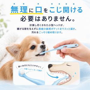 犬 歯ブラシ 犬用歯ブラシ 犬歯ブラシ 猫 歯...の詳細画像5
