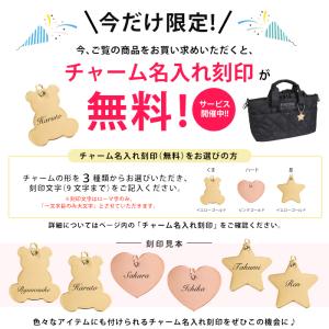 3WAYで使える お散歩バッグ ベビーカーバッ...の詳細画像1
