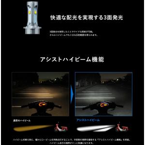 スフィアライト NEOL PH12型 6000...の詳細画像4