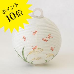 LETTER-TONBO GIFU LANTERN PROJECT OZEKI オゼキ レター提灯 トンボ TONBO 3年保証｜lavita