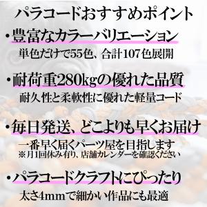 パラコード 10m ストラップ 4mm キーホ...の詳細画像1