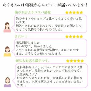 ポニーフック ヘアーアクセサリー 丸皿 KC金...の詳細画像5