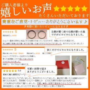 シルバー ポリッシュ シルバー磨き布 アクセサ...の詳細画像2