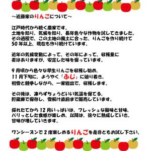 りんご サンふじ 秋田 訳あり ご家庭用 5k...の詳細画像2