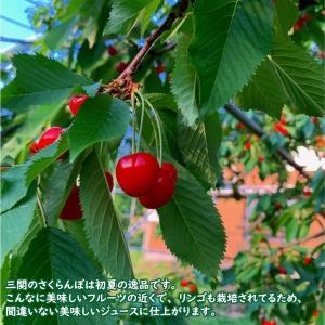 りんごジュース 無添加 ストレート 秋田県産 ...の詳細画像4