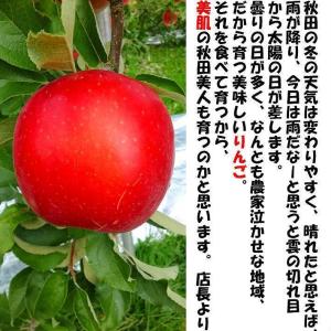 りんごジュース 無添加 ストレート 秋田県産 ...の詳細画像5