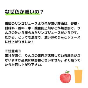 りんごジュース 無添加 パウチ 20個 セット...の詳細画像2