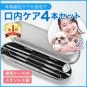 歯石取り 自分で 器具 歯石除去 スケーラー セット 自宅 デンタルケア 犬 歯科 ヤニ ペット オーラルケア 口臭予防｜lblb