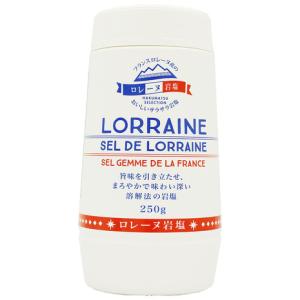 その他ブランド（OTHER BRAND） ローレンヌ岩塩ボトル 0102