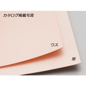 【5枚セット】テキソン 薄 無地 110×60cm 0.6mm厚 5枚【送料無料】 [協進エル]  ...