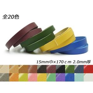 ドエリアレース 全20色 15mm巾×170cm 2.0mm厚 1本 [ぱれっと]